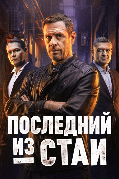 Póster de Последний из стаи