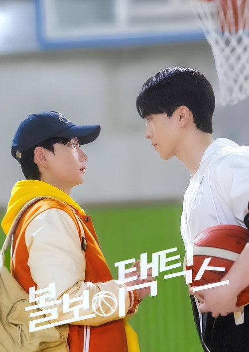 Póster de 볼보이 택틱스