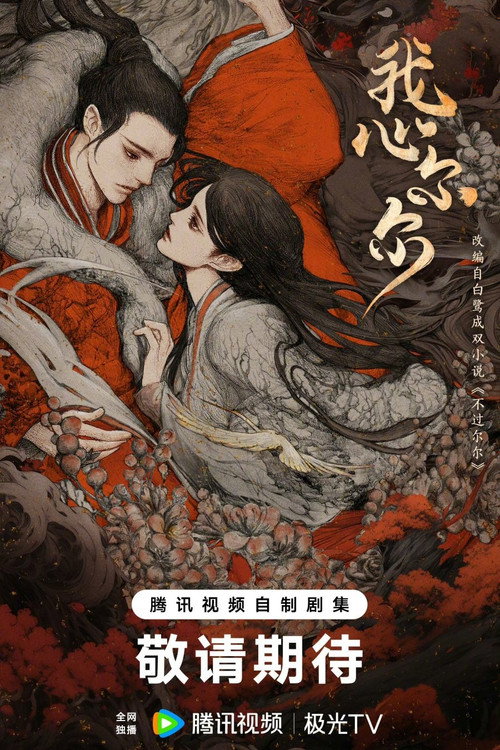 Póster de 我心尔尔