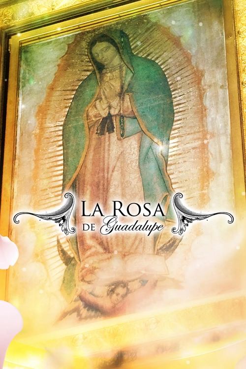 Póster de La Rosa de Guadalupe
