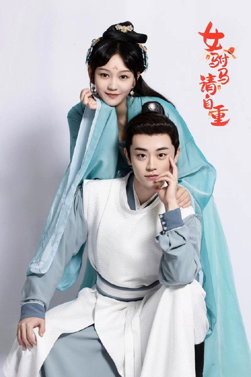 Póster de 女驸马请自重