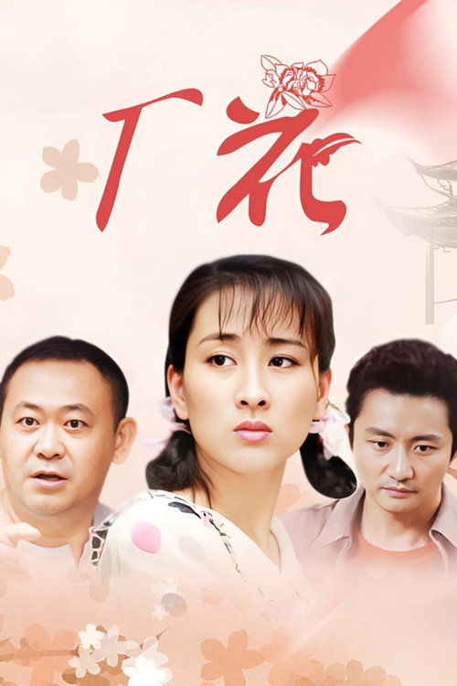 Póster de 厂花