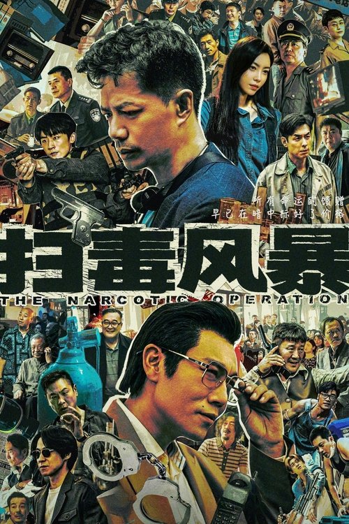 Póster de 扫毒风暴