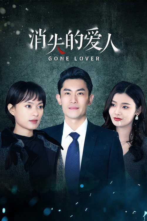 Póster de 消失的爱人