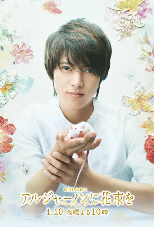 Póster de アルジャーノンに花束を