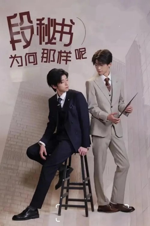 Póster de 段秘书为何那样呢