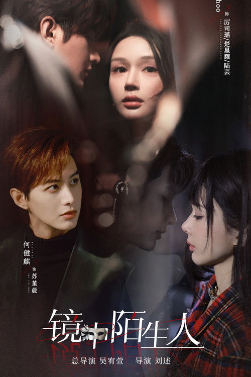 Póster de 镜中陌生人
