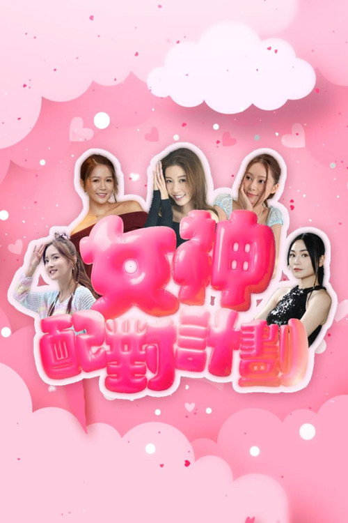 Póster de 女神配對計劃