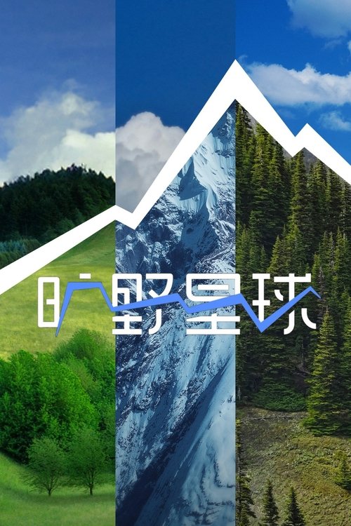 Póster de 旷野星球