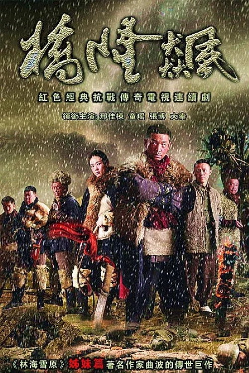Póster de 桥隆飙