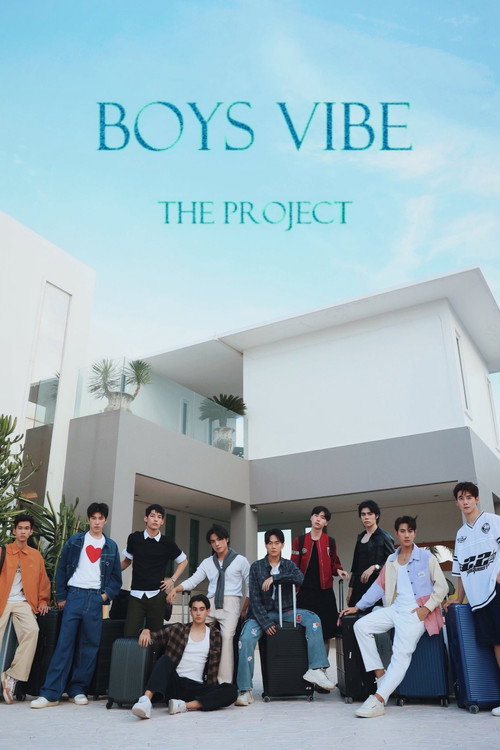 Póster de Boys Vibe The Project