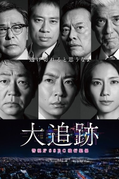 Póster de 大追跡～警視庁SSBC強行犯係～