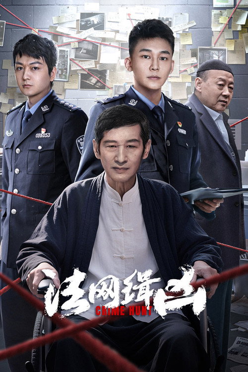 Póster de 法网缉凶