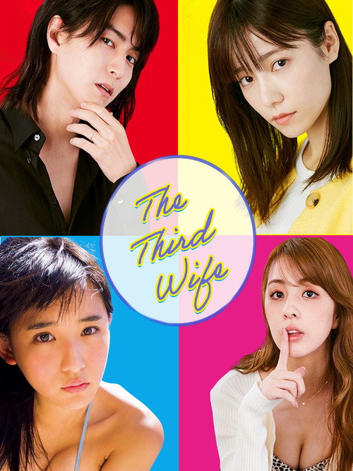 Póster de The Third Wife