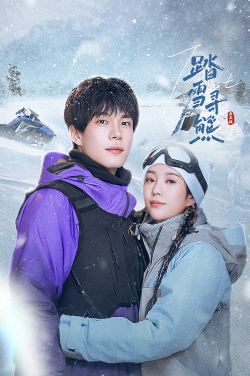 Póster de 踏雪寻熊