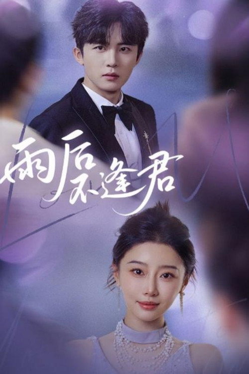 Póster de 雨后不逢君