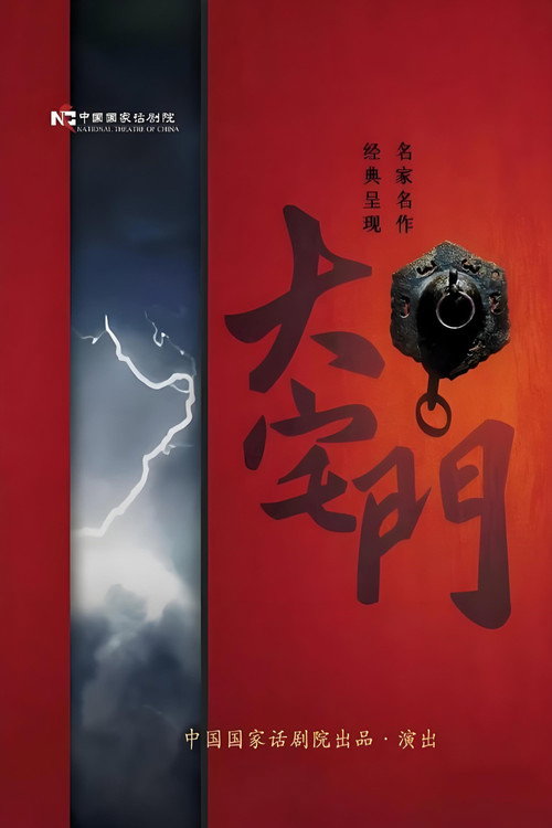 Póster de 大宅门