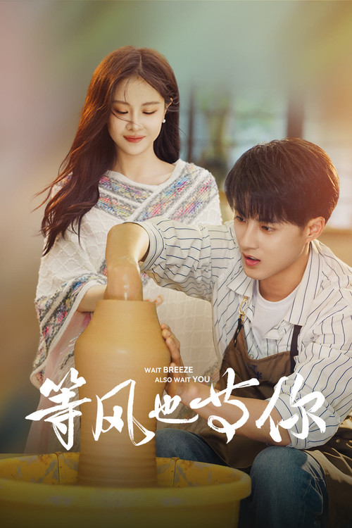 Póster de 等风也等你