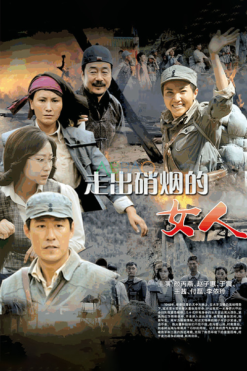 Póster de 走出硝烟的女人