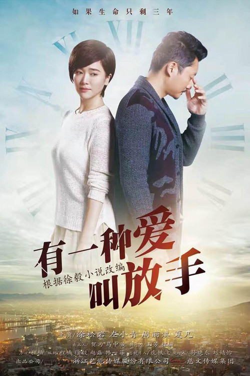 Póster de 家年华