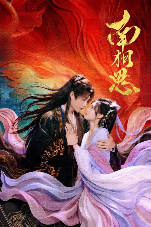 Póster de 南相思