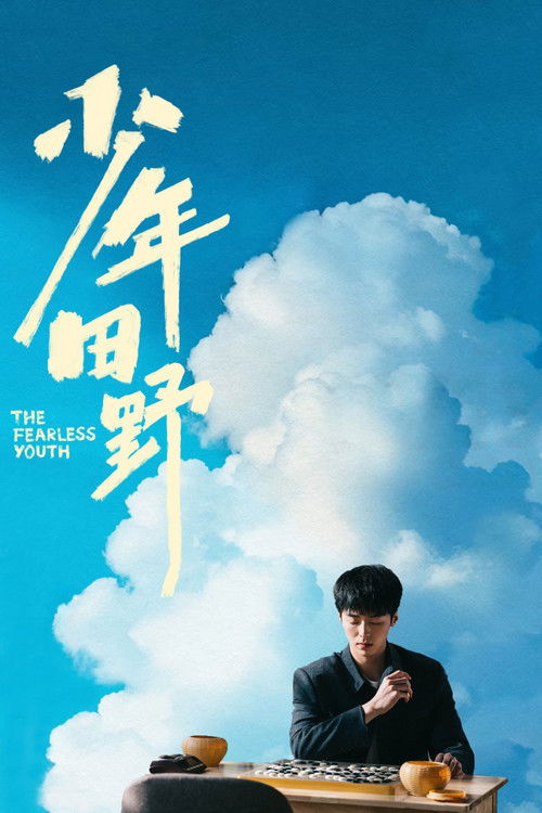 Póster de 少年田野