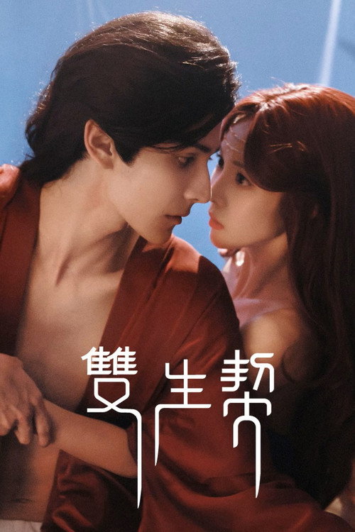Póster de 双生契