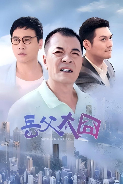 Póster de 摩登岳父