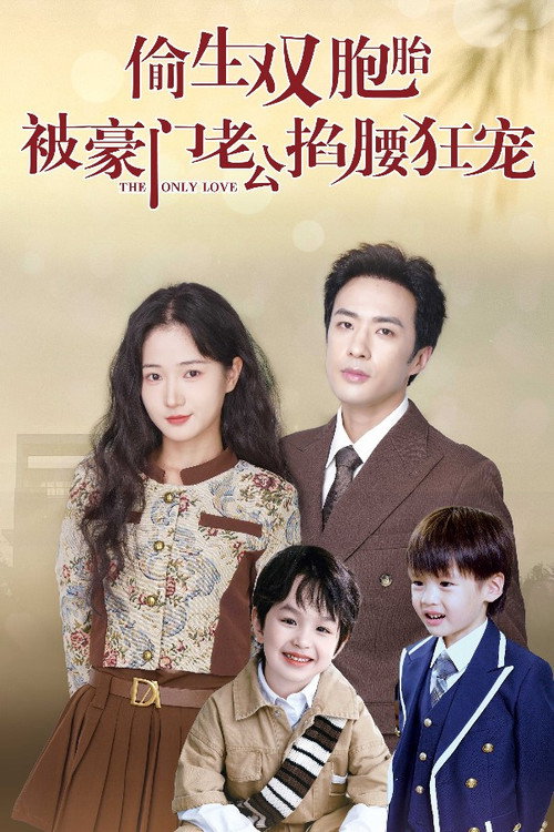 Póster de 偷生双胞胎，被豪门老公掐腰狂宠