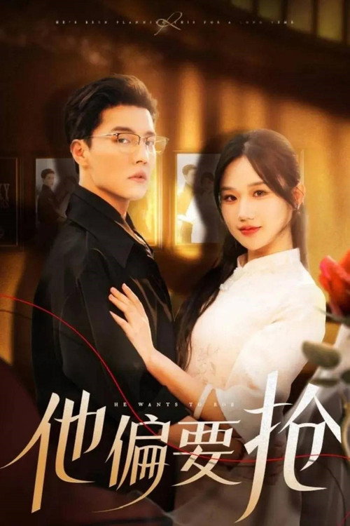 Póster de 他偏要抢