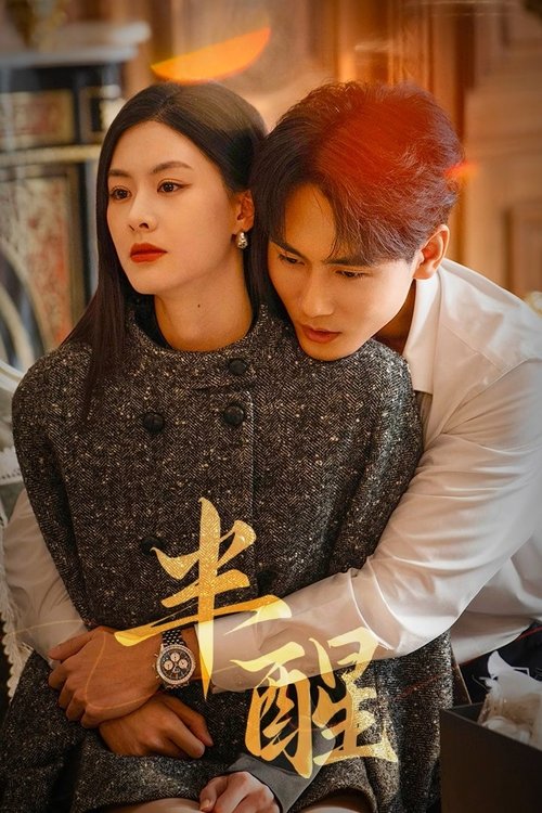 Póster de 半醒