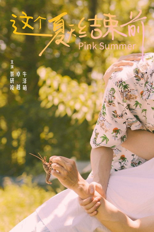 Póster de 这个夏天结束前