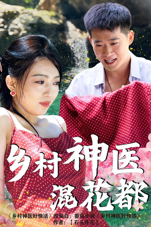 Póster de 乡村神医混花都