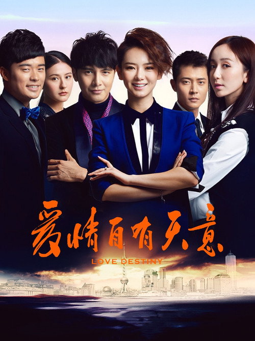 Póster de 爱情自有天意