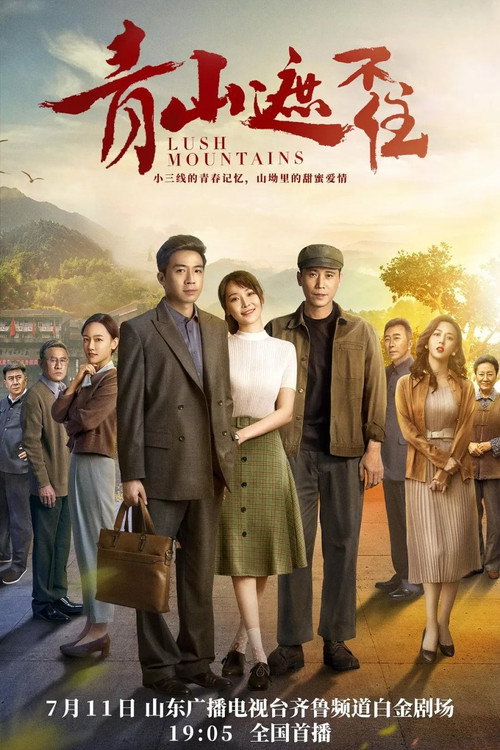 Póster de 青山遮不住
