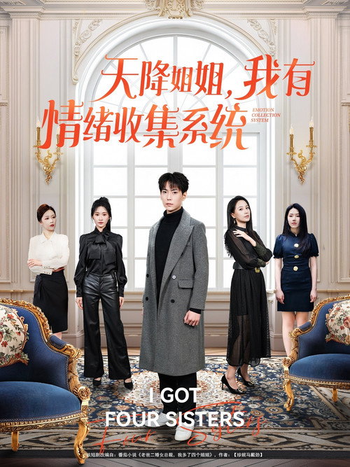 Póster de 天降姐姐，我有情绪收集系统