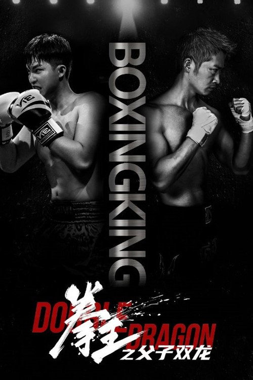 Póster de 拳王之父子双龙