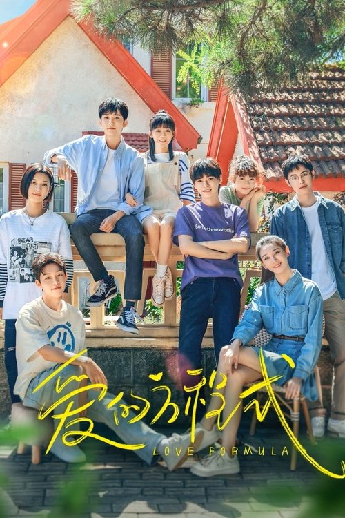 Póster de 爱的方程式