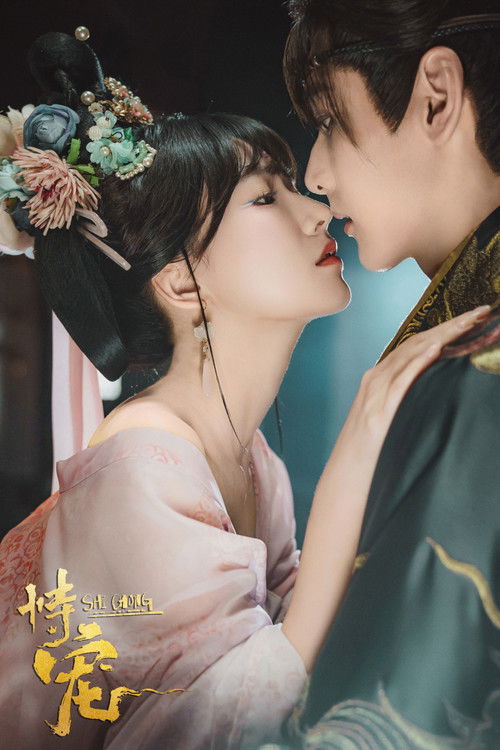 Póster de 恃宠