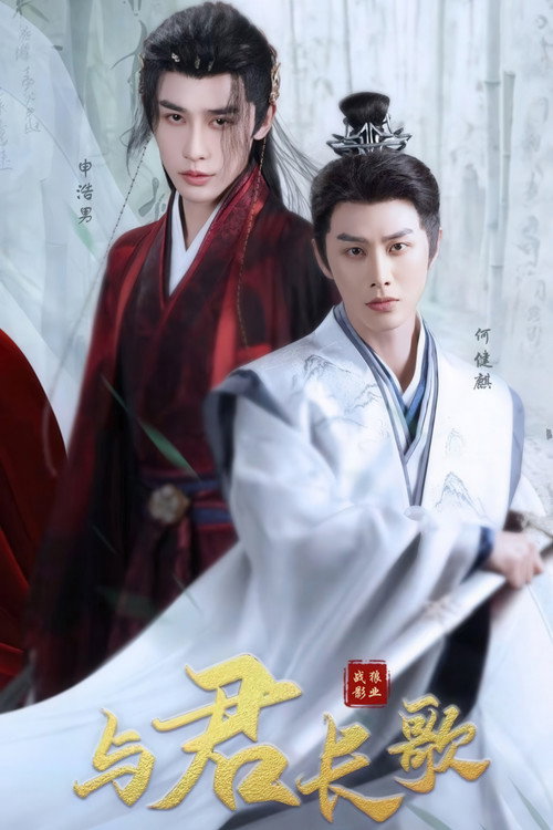 Póster de 与君长歌