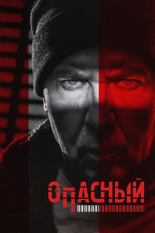 Póster de Опасный