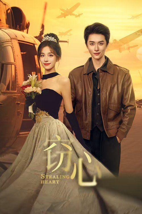 Póster de 窃心