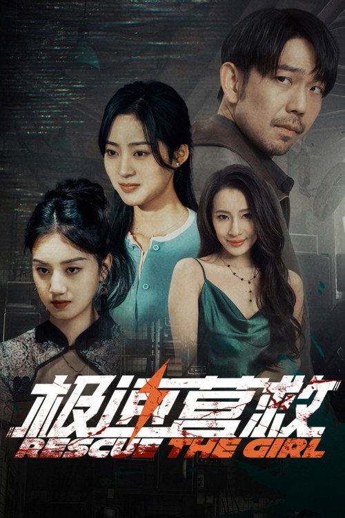 Póster de 极速营救