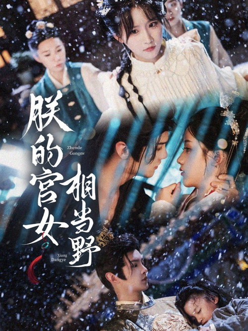 Póster de 朕的宫女相当野