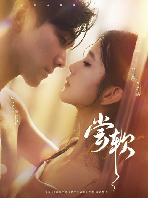 Póster de 尝软