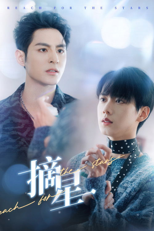 Póster de 摘星