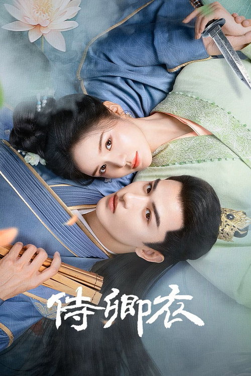 Póster de 侍卿衣