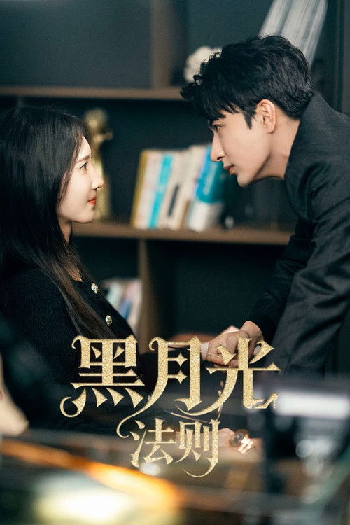 Póster de 黑月光法则