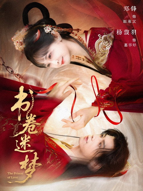 Póster de 书卷迷梦
