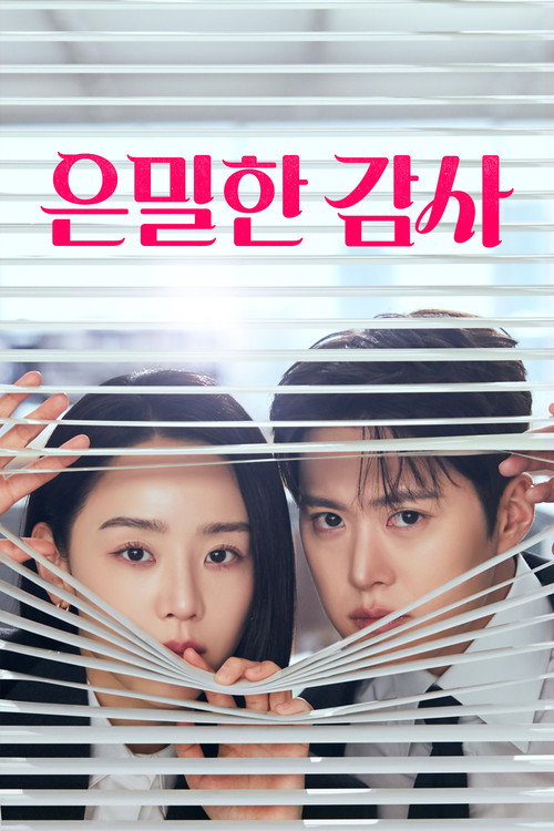 Póster de 은밀한 감사